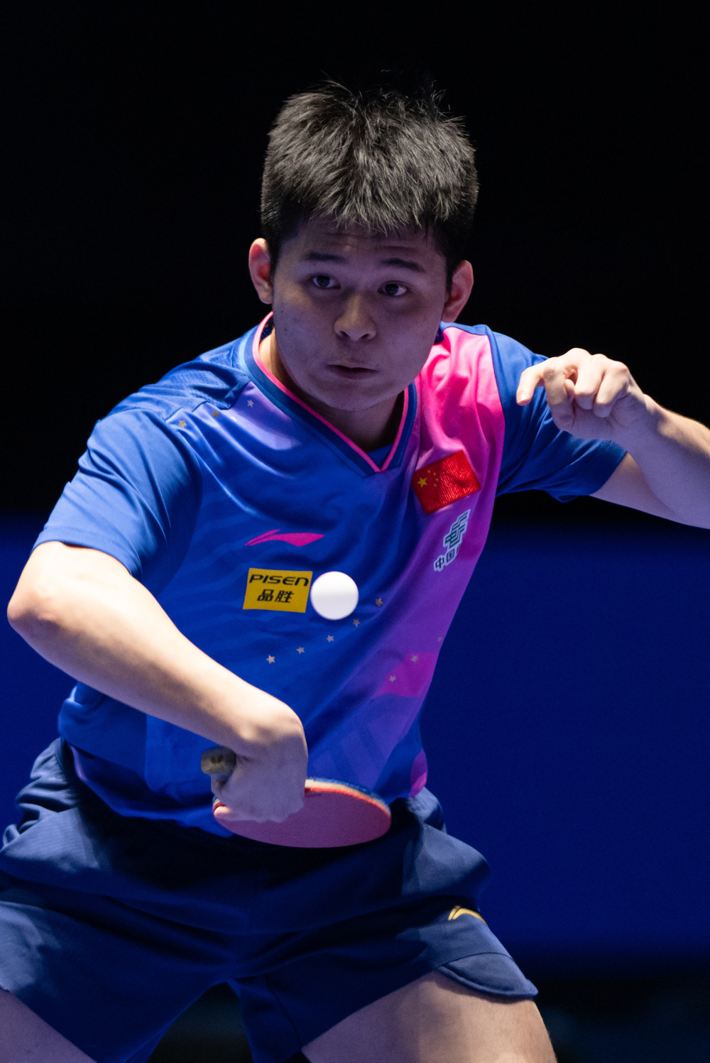 的明智决定 的明智决定