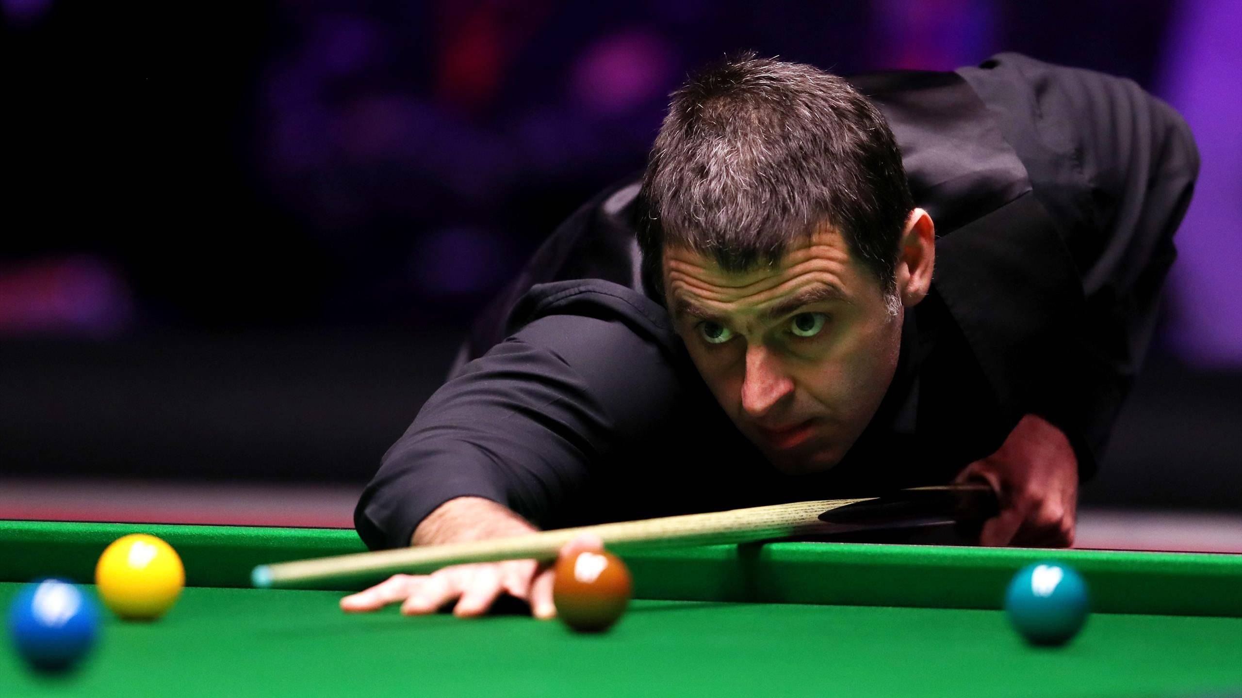 续约成功 续约成功